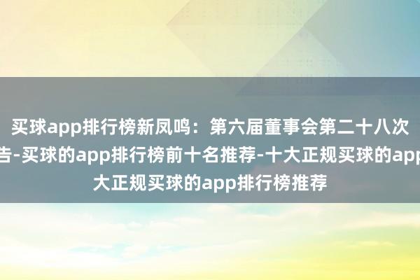买球app排行榜新凤鸣：第六届董事会第二十八次会议决策公告-买球的app排行榜前十名推荐-十大正规买球的app排行榜推荐