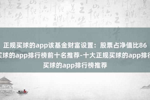 正规买球的app该基金财富设置：股票占净值比86.59%-买球的app排行榜前十名推荐-十大正规买球的app排行榜推荐