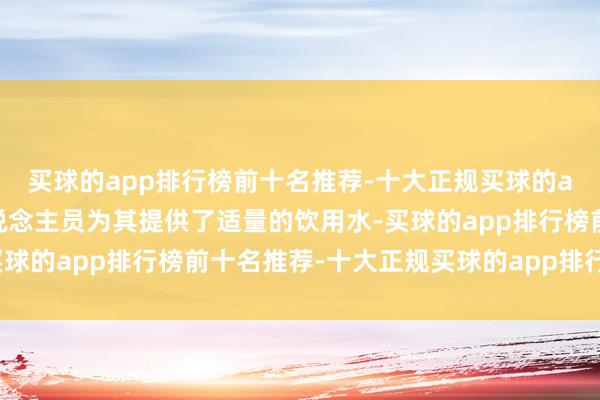 买球的app排行榜前十名推荐-十大正规买球的app排行榜推荐责任主说念主员为其提供了适量的饮用水-买球的app排行榜前十名推荐-十大正规买球的app排行榜推荐