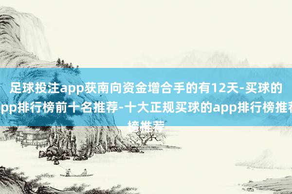 足球投注app获南向资金增合手的有12天-买球的app排行榜前十名推荐-十大正规买球的app排行榜推荐