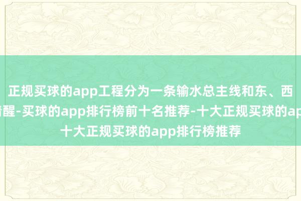 正规买球的app工程分为一条输水总主线和东、西两条输水分清醒-买球的app排行榜前十名推荐-十大正规买球的app排行榜推荐