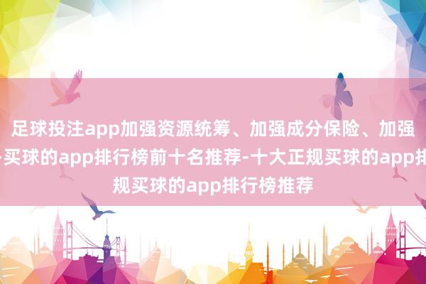 足球投注app加强资源统筹、加强成分保险、加强绽放协作-买球的app排行榜前十名推荐-十大正规买球的app排行榜推荐