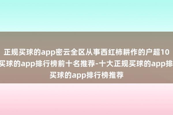 正规买球的app密云全区从事西红柿耕作的户超1000余户-买球的app排行榜前十名推荐-十大正规买球的app排行榜推荐