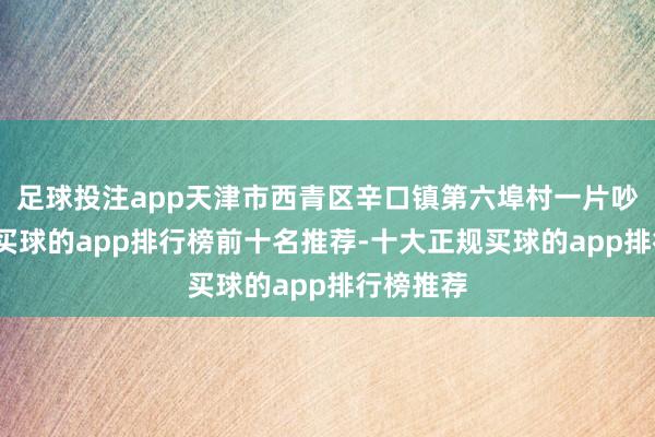足球投注app天津市西青区辛口镇第六埠村一片吵杂局势-买球的app排行榜前十名推荐-十大正规买球的app排行榜推荐