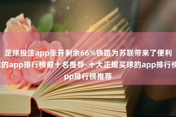 足球投注app张开剩余66%铁路为苏联带来了便利-买球的app排行榜前十名推荐-十大正规买球的app排行榜推荐