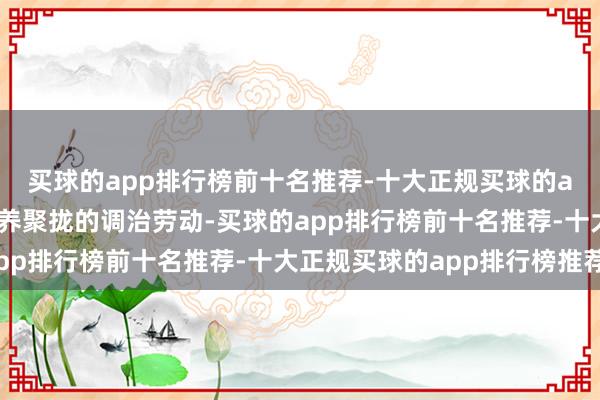 买球的app排行榜前十名推荐-十大正规买球的app排行榜推荐开展医养聚拢的调治劳动-买球的app排行榜前十名推荐-十大正规买球的app排行榜推荐