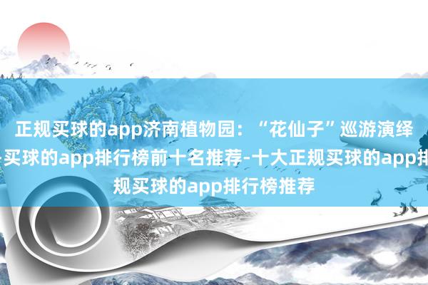 正规买球的app济南植物园：“花仙子”巡游演绎春日闲隙-买球的app排行榜前十名推荐-十大正规买球的app排行榜推荐