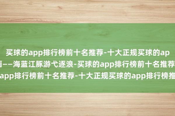 买球的app排行榜前十名推荐-十大正规买球的app排行榜推荐在夜空作画——海蓝江豚游弋逐浪-买球的app排行榜前十名推荐-十大正规买球的app排行榜推荐