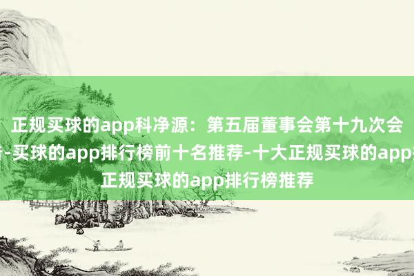 正规买球的app科净源：第五届董事会第十九次会议方案公告-买球的app排行榜前十名推荐-十大正规买球的app排行榜推荐