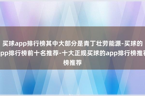买球app排行榜其中大部分是青丁壮劳能源-买球的app排行榜前十名推荐-十大正规买球的app排行榜推荐