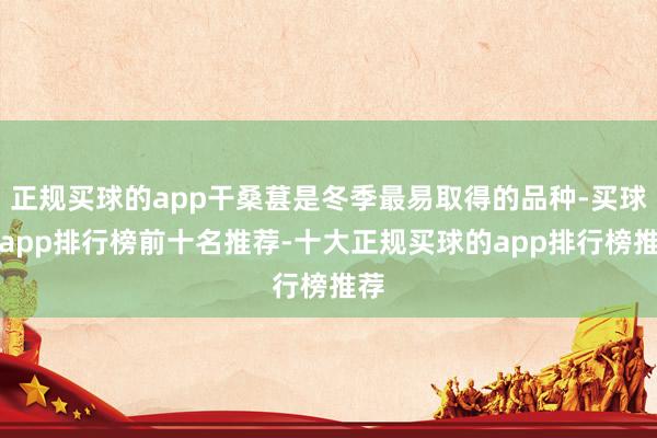 正规买球的app干桑葚是冬季最易取得的品种-买球的app排行榜前十名推荐-十大正规买球的app排行榜推荐