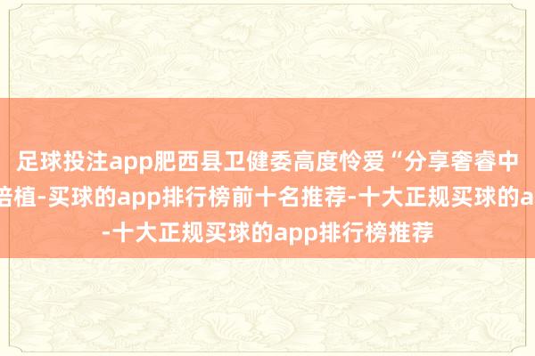 足球投注app肥西县卫健委高度怜爱“分享奢睿中药房”神志的培植-买球的app排行榜前十名推荐-十大正规买球的app排行榜推荐
