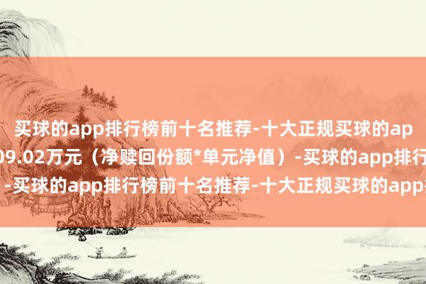 买球的app排行榜前十名推荐-十大正规买球的app排行榜推荐净流出609.02万元(净赎回份额*单元净值)-买球的app排行榜前十名推荐-十大正规买球的app排行榜推荐