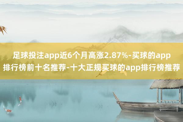 足球投注app近6个月高涨2.87%-买球的app排行榜前十名推荐-十大正规买球的app排行榜推荐
