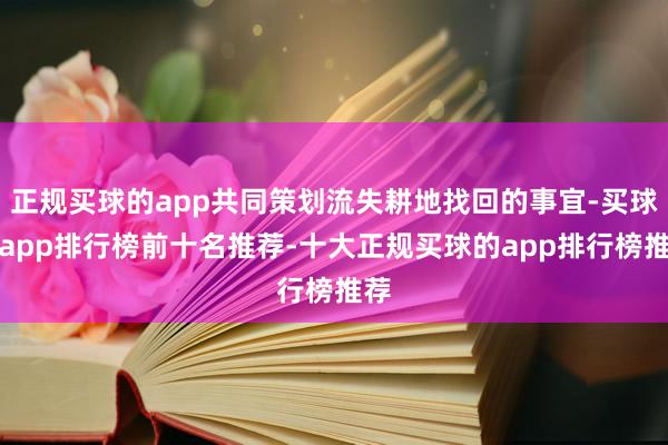 正规买球的app共同策划流失耕地找回的事宜-买球的app排行榜前十名推荐-十大正规买球的app排行榜推荐