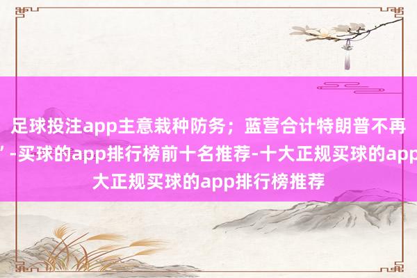 足球投注app主意栽种防务；蓝营合计特朗普不再打“台湾牌”-买球的app排行榜前十名推荐-十大正规买球的app排行榜推荐