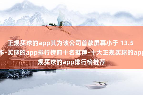 正规买球的app其为该公司首款屏幕小于 13.5 英寸的条记本-买球的app排行榜前十名推荐-十大正规买球的app排行榜推荐