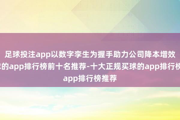 足球投注app以数字孪生为握手助力公司降本增效-买球的app排行榜前十名推荐-十大正规买球的app排行榜推荐